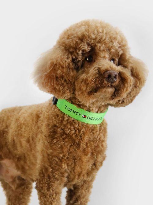 collar-de-correas-para-perros