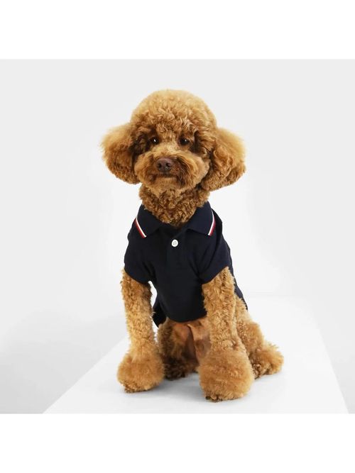 polo-dog-heritage