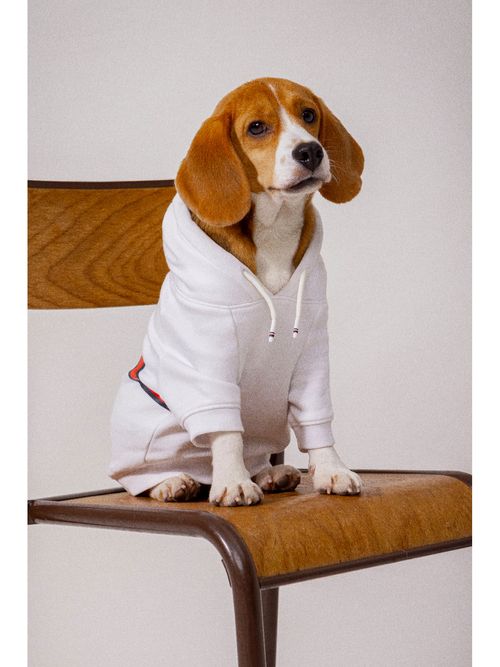 sueter-con-gorro-para-perros