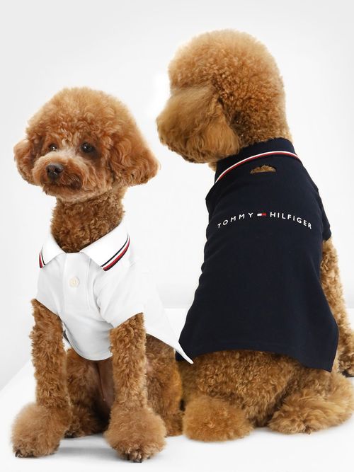 polo-dog-heritage